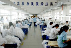 Factory – ANHUI XIAZHEN GROUP